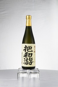lin-028